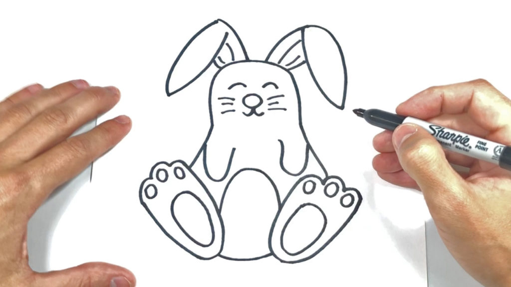 Como Dibujar Un Conejo Imagenes